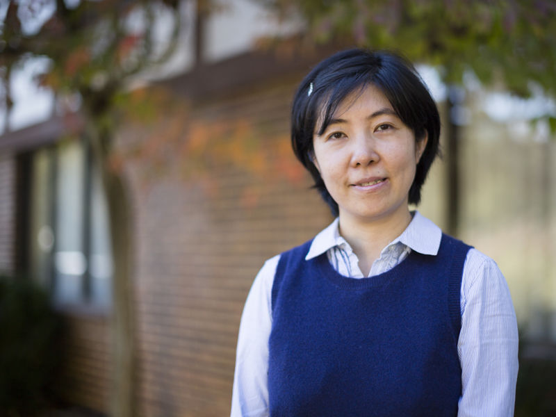 Fan Gao - Bachelor of Interdisciplinary Studies